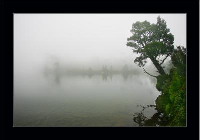 Fog 2, Mt Field NP