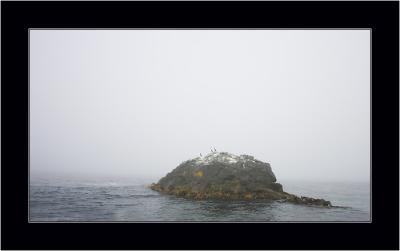 Island in the Fog, South Bruni NP