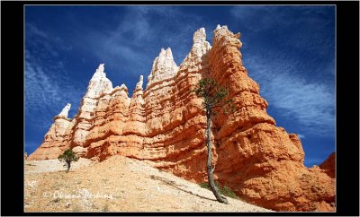 Castle, Bryce Canyon NP