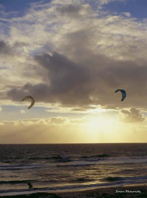 Cott Kites 1.jpg