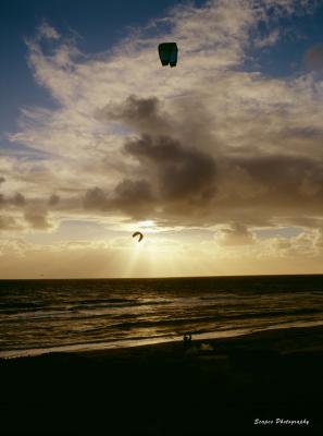 Cott Kites 2.jpg