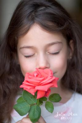 Rose of Innocence