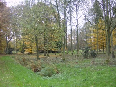 HPIM0857.JPG