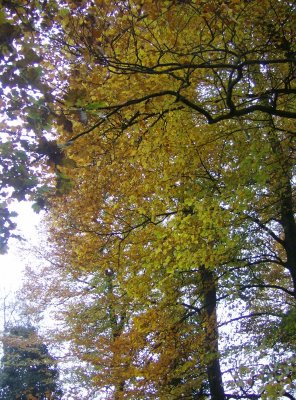 HPIM0866.JPG