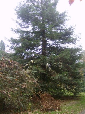 HPIM0882.JPG