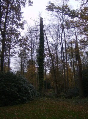 HPIM0895.JPG