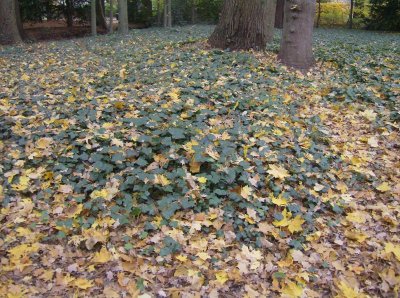 HPIM0907.JPG