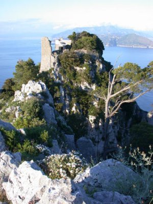 DSCN4925.jpg
