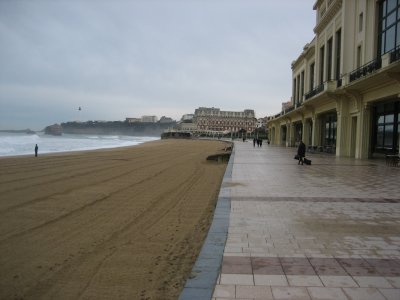 The front
