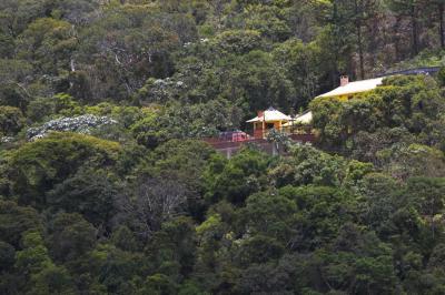 House in the woods