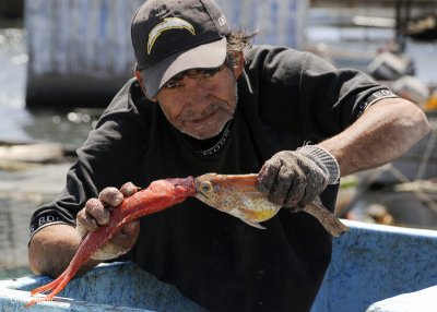 Fish Monger, Santa Rosalia 1