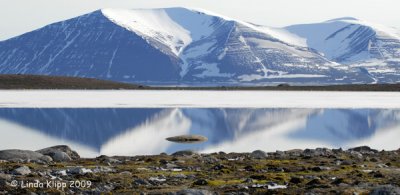 Reindeer Flats, Svalbard Norway  2