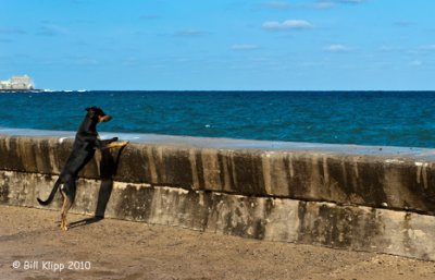 Only 90 Miles to Key West, Malecon Havana