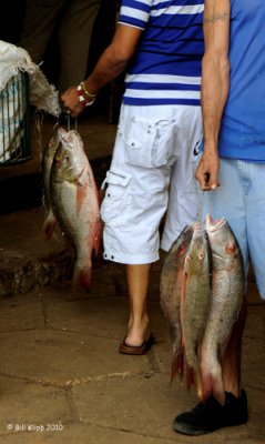 Black Market Fish Sales,  Havana