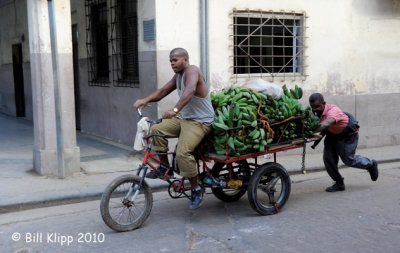 Banana Delivery, Havana