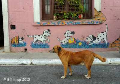 Street Art, Havana  6