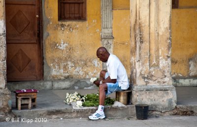 Flower Vendor, Havana  1