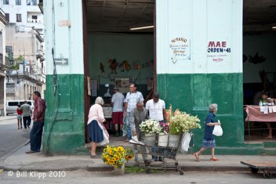 Flower Vendor, Havana  2