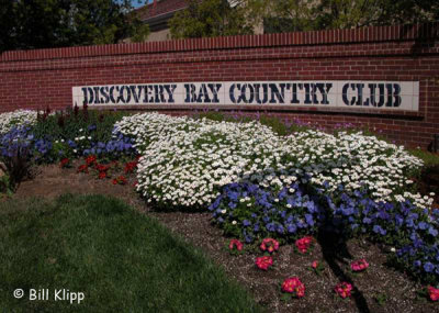 Discovery Bay Scenics Country Club 2