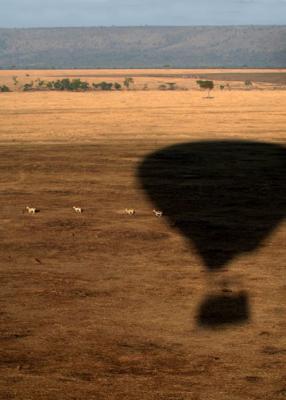 Hot Air Balloon, Masai Mara  12