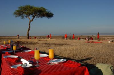 Hot Air Balloon Brunch, Masai Mara  11