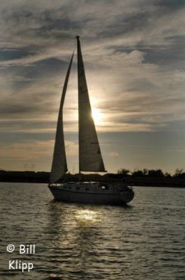 Sail Boat Sunsets 1
