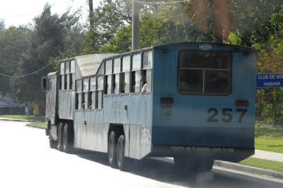 Camel Bus 1
