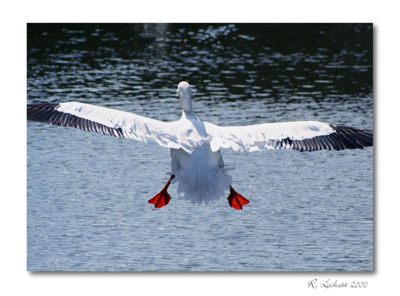 the landing