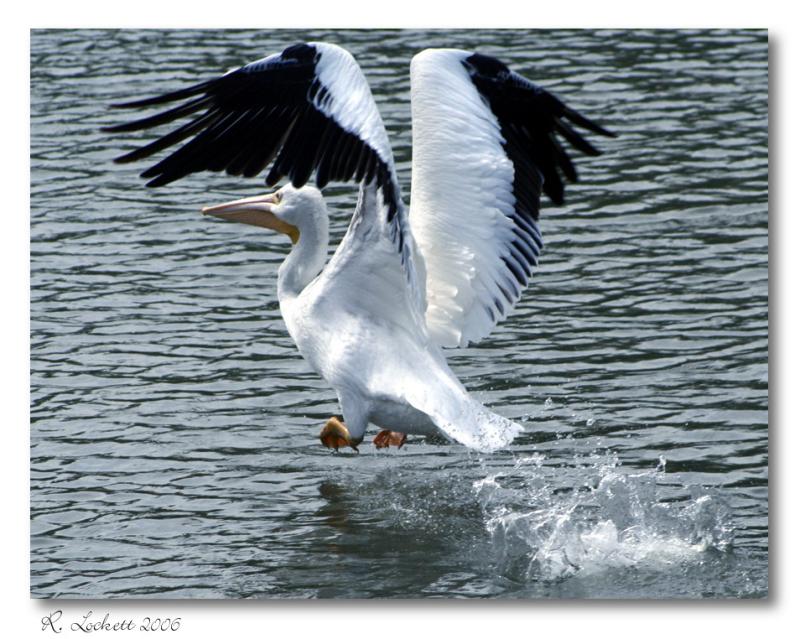 initial takeoff