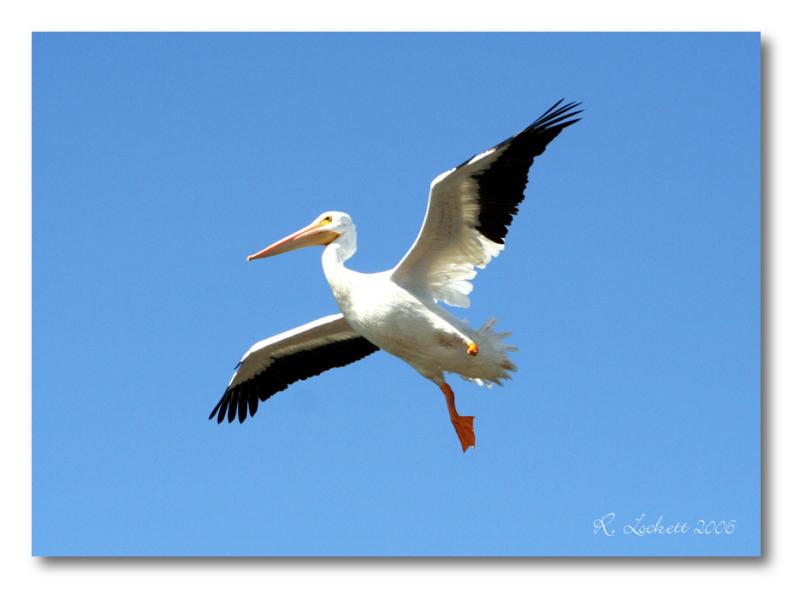 one-legged approach