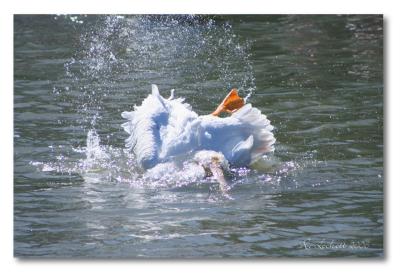 cooling off