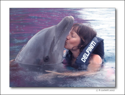 dolphin hugs & kisses