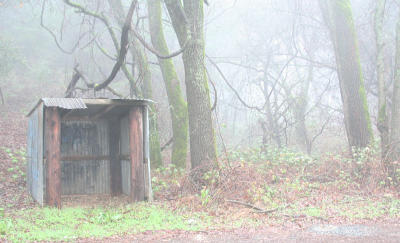 Foggy Day Bus Stop, Auburn