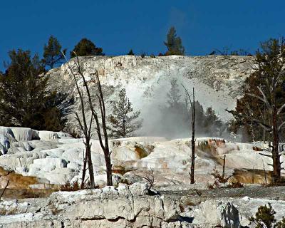 Mammoth Hot Springs Terraces