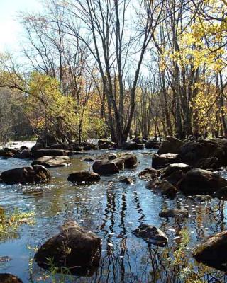 Prairie River Reflections