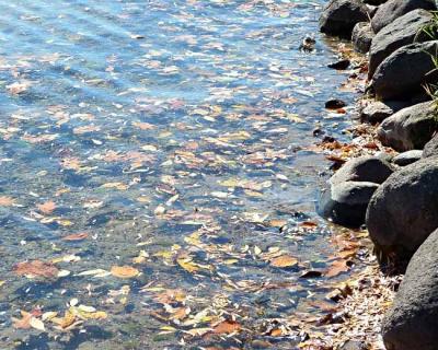 Lake Pokegama Rocky Shore