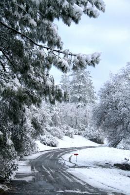 Snowy Road 2
