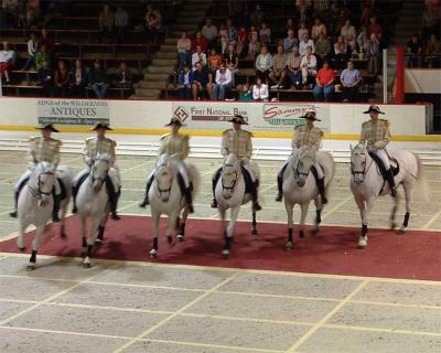 Lipizzaners