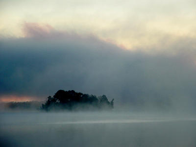 Misty Morn