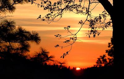 Orange Sunset