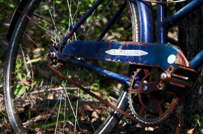Abandoned Bike Wheel