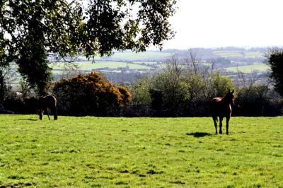 Lemybrien Farm