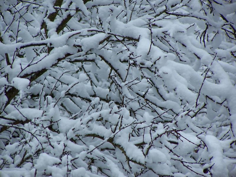 winter