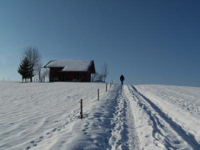 winter impression 2
