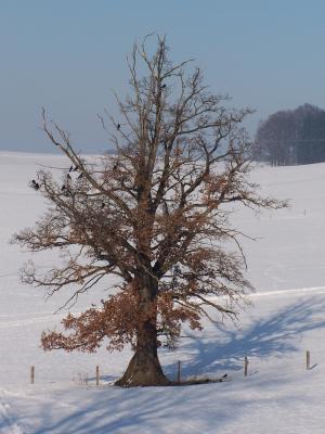 winter impression 4