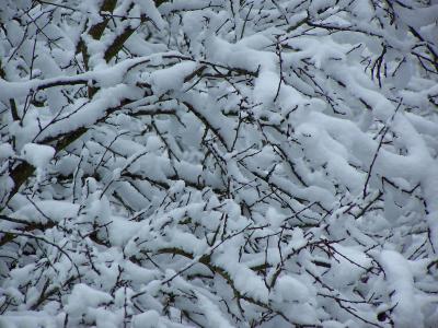 winter