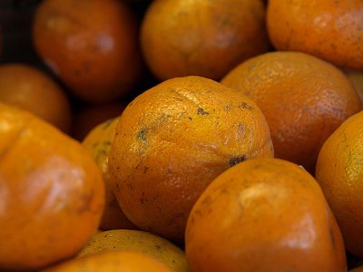 spring_fruit