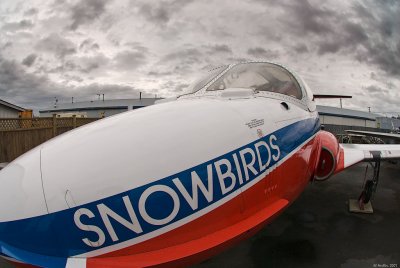 g3/57/624457/3/89704010.6FTY2KVB.jpg