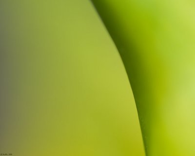g3/57/624457/3/95225805.t1XK5RSg.jpg