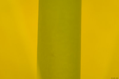 g3/57/624457/3/95225806.NjCw2iy8.jpg